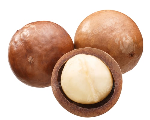 Preview: Macadamia nuts m. integrifolia, paths