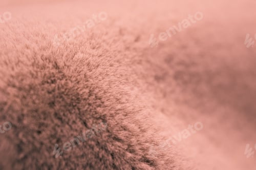 Preview: DSC08303