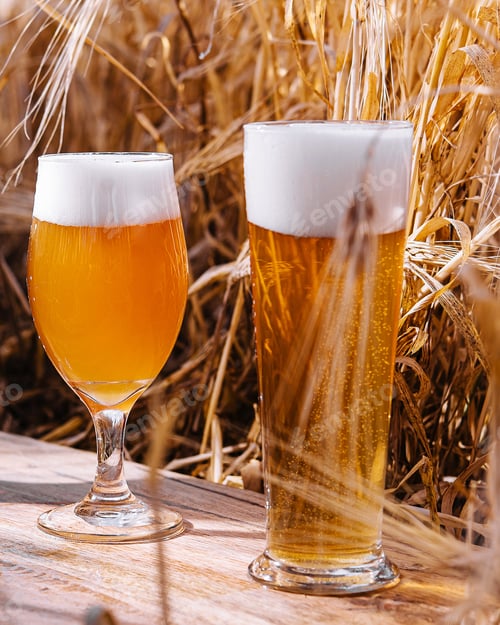 Preview: light, unfiltered and dark glasses of beer in a wheat field