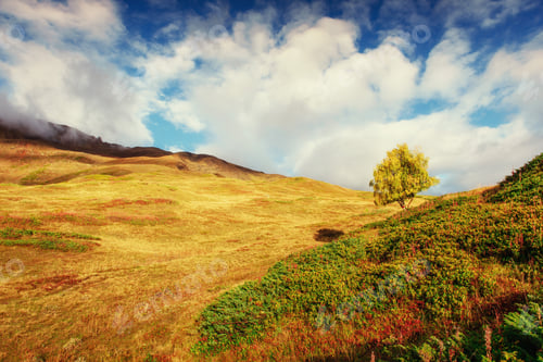 Preview: Autumn landscape and snowy mountain peaks.