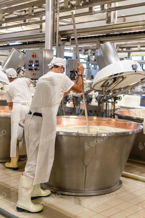 Preview: parmigiano reggiano hard grate cheese industrial production cooking process plant