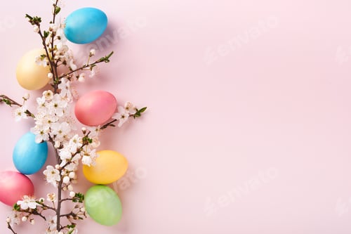 Preview: Happy Easter. Dyed Easter eggs on rustic table with cherry blossom tree branch on pink background. E