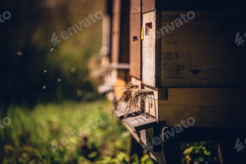 Preview: Closeup shot of brown wooden apiaries in a rural area