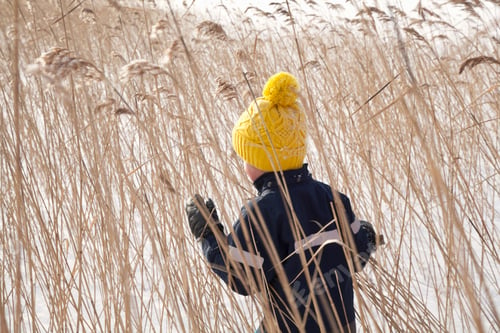 Preview: Boy walking through long grass, in snow covered landscape, rear view