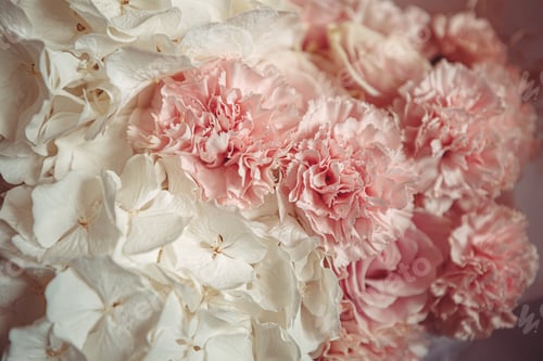 Preview: Floral Arrangement with Pink and White Flowers