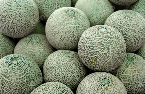 Preview: Closeup of cantaloupe melon