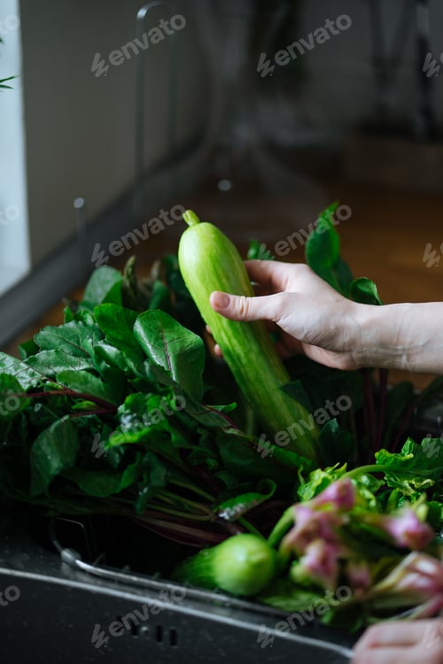 Preview: Woman washing fresh vegetables in kitchen