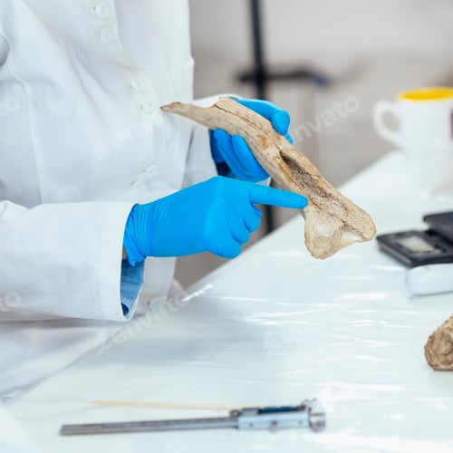 Preview: Archaeology Researchers Analyzing Ancient Antler Tool in Laboratory