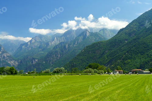 Preview: Landscape of Valtellina at summer near Dubino