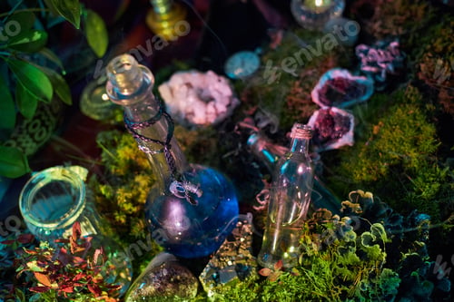 Preview: In a vibrant forest scene, several unique potion bottles rest among lush green moss