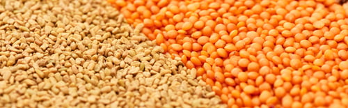 Preview: panoramic shot of cereals near red lentil