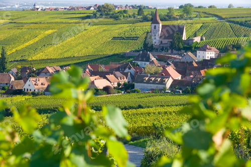 Preview: Hunawihr village and vineyards, Alsace, France