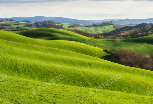 Preview: Spring fields in Tuscany