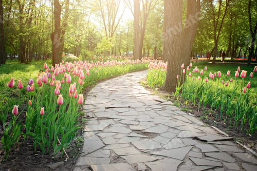 Preview: Bright colorful tulips background, banner. Beautiful flower tulips with sunlight and bokeh in public
