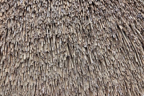 Aperçu: Texture du toit en roseau