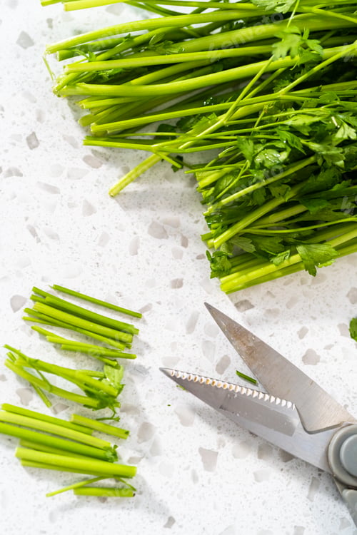 Preview: Fresh parsley