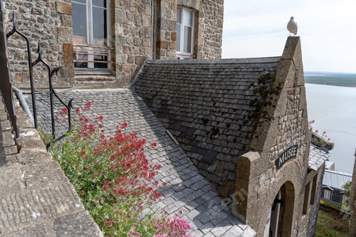 Preview: The view from Saint-Michel in Normandy, France a medieval abbey