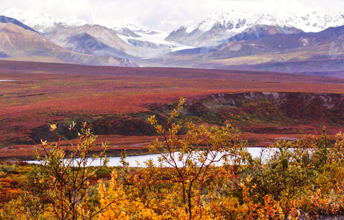 Preview: Autumn in polar tundra
