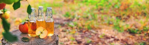 Preview: Apple cider vinegar in the garden. Selective focus.