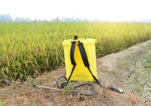 Preview: Chemical To Sprayer Tank Spray To Green Young Rice Field