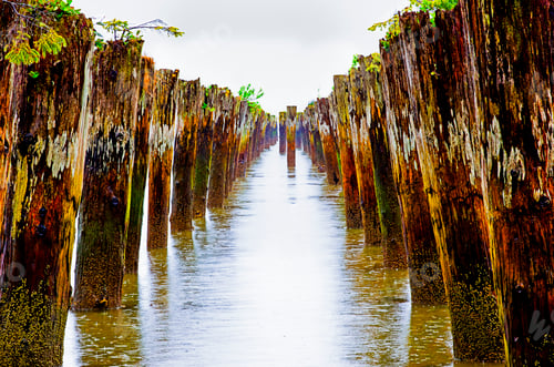 Preview: Old pilings in shallow water on the shore at Astoria, Oregon, USA