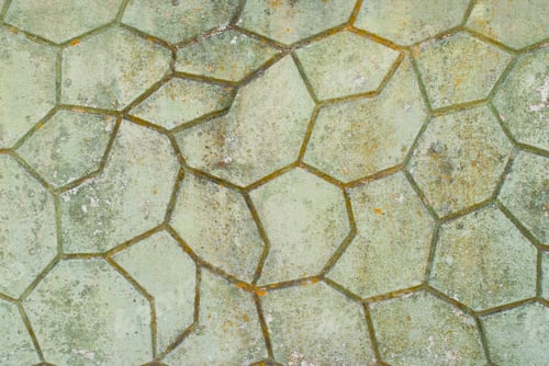Preview: Wall texture