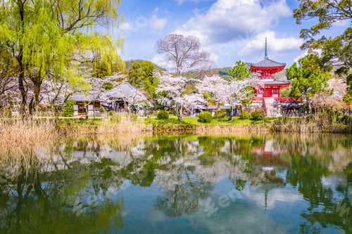 Preview: Kyoto, Japan Temple in Spring