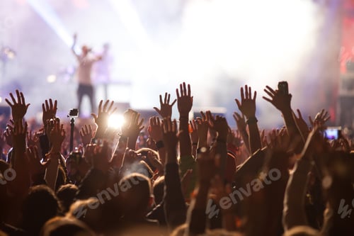 Preview: crowd at concert - summer music festival