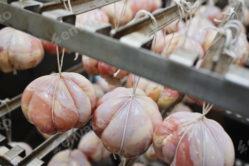 Preview: raw unprocessed pork delicacy of round shape hanging on a rope in a meat factory