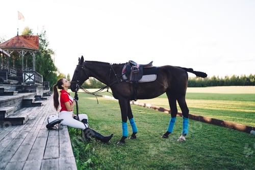 Preview: Female rider sitting on tribunes and caressing horse