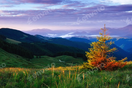 Preview: Fantastic sunset in the mountains of Ukraine