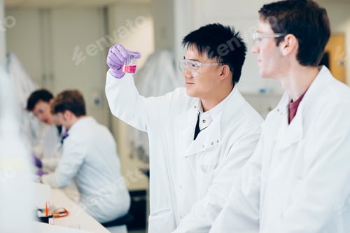 Preview: Focused scientists examining a specimen in a lab flask