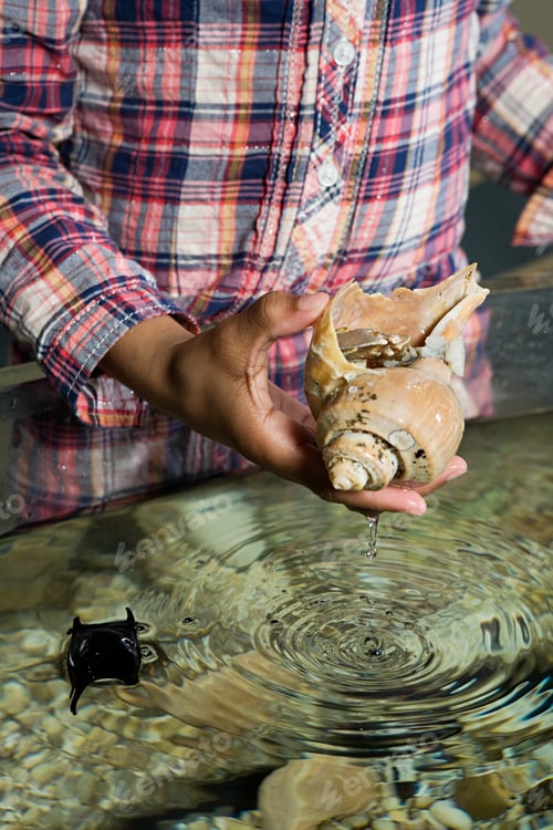 Preview: Girl holding sea shell in aquarium