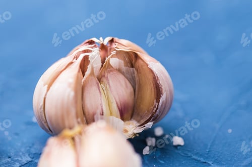Preview: Organic garlic whole on blue background, close-up.