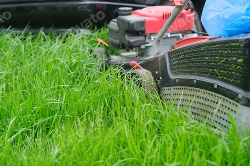 Preview: Lawn mower cutting green grass, gardener with lawnmower working