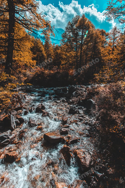 Preview: Colorful in autumn forest and snow mountain at Yading nature reserve, The last Shangri la
