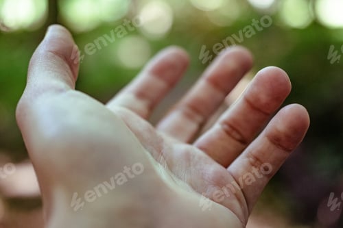 Preview: Closeup shot of a person's palm on a blurred background