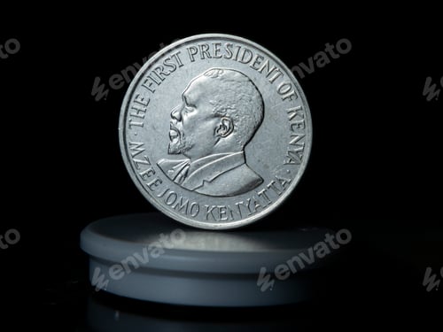 Visualização: uma moeda de prata com o rosto de um presidente sentado em cima dela