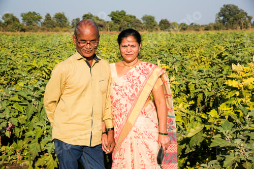 Preview: Happy Indian farmer couple at brinjal farm, enjoying nature.