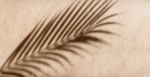 Preview: Tropics minimalist abstract blurred background of palm leaf shadow over kraft paper.
