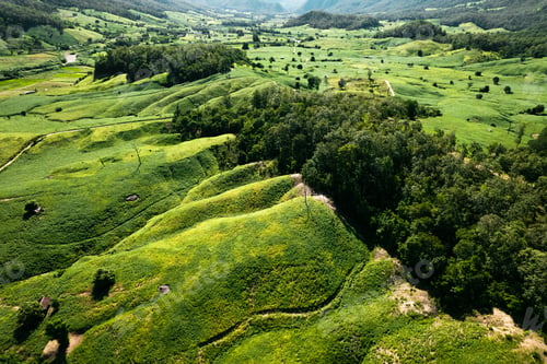 Preview: field scenery views and green fields on a clear day