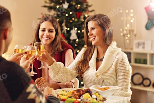 Preview: Group of friends celebrating Christmas
