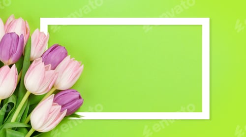 Preview: Pink tulips over green background