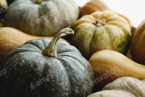 Preview: Toned autumn background with pile of pumpkins
