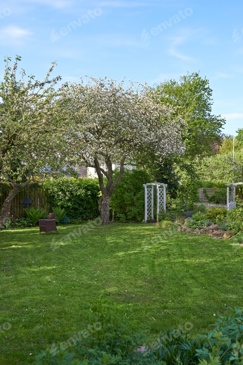 Preview: Late summer garden