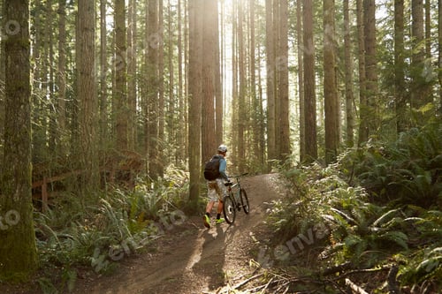 Preview: Young man walking mountain bike through forest, rear view
