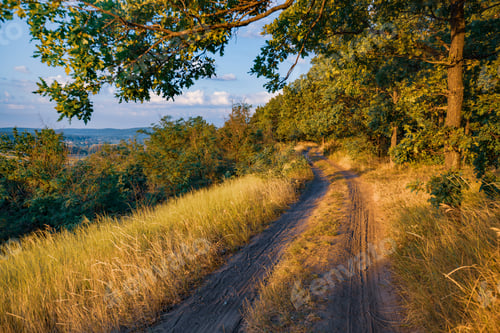 Preview: Empty rural road through forest with dry grass