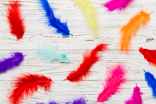 Preview: Close up to bright colorful feathers background. Colored feather background, top view