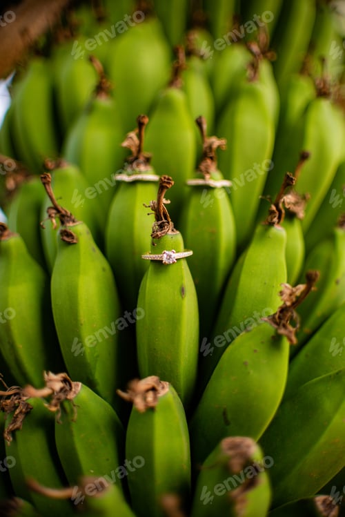 Preview: Banana Edible Fruit Elongated Plants Raw Green Farm Fresh Produce Wedding Rings