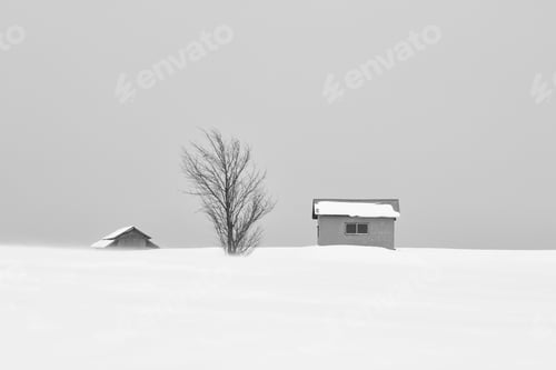 Preview: Snow-covered winter landscape with two small houses and solitary tree in the distance, Biei.
